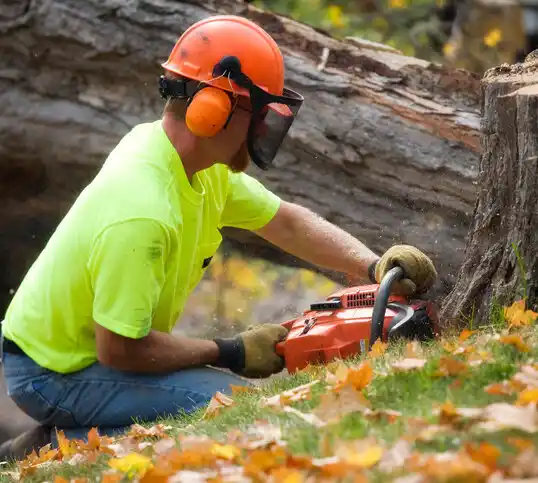 tree services Tecumseh